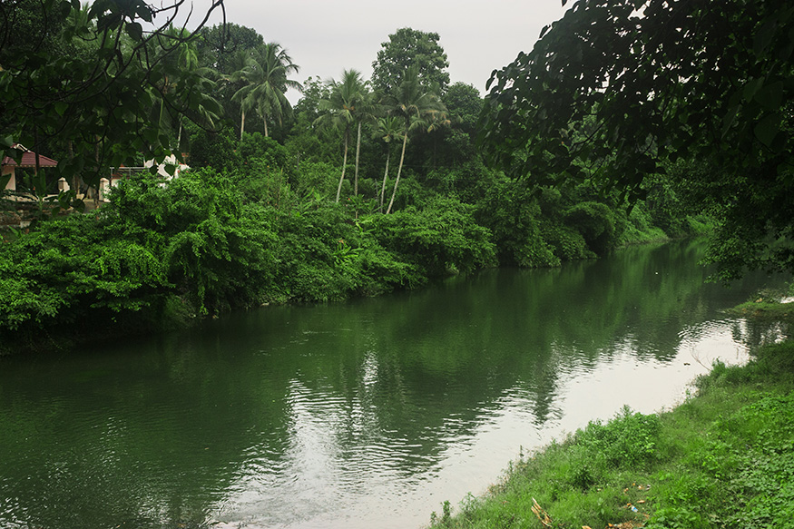 Meenachil_river_HS-4939